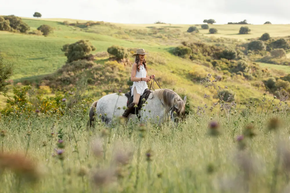 Caballos en la finca